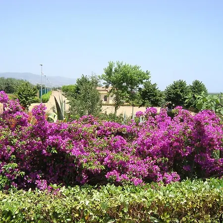 Tenuta Colle Degli Ulivi 호텔